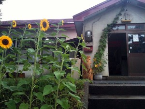 写真 11-08-18 14 01 51